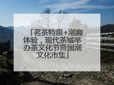 茗茶特惠+潮趣体验，现代茶城举办茶文化节暨国潮文化市集