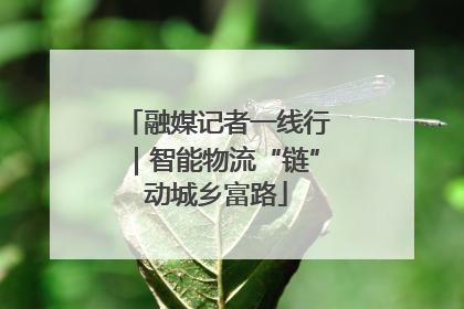 融媒记者一线行｜智能物流“链”动城乡富路