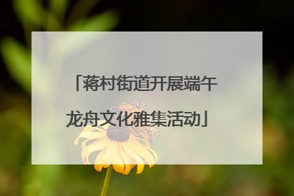 蒋村街道开展端午龙舟文化雅集活动