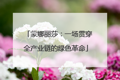 蒙娜丽莎：一场贯穿全产业链的绿色革命
