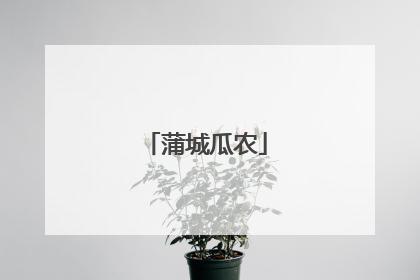 蒲城瓜农