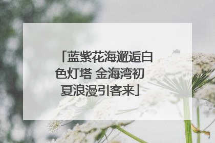蓝紫花海邂逅白色灯塔 金海湾初夏浪漫引客来
