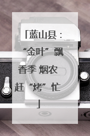 蓝山县：“金叶”飘香季 烟农赶“烤”忙