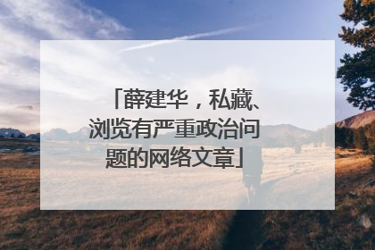薛建华，私藏、浏览有严重政治问题的网络文章