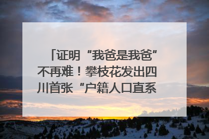 证明“我爸是我爸”不再难！攀枝花发出四川首张“户籍人口直系亲属关系谱”