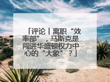 评论丨离职“效率部”，马斯克是闯进华盛顿权力中心的“大象”？