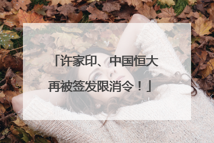 许家印、中国恒大再被签发限消令！