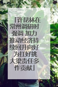 许昆林在常州调研时强调 加力推动经济持续回升向好 为扛好挑大梁责任多作贡献