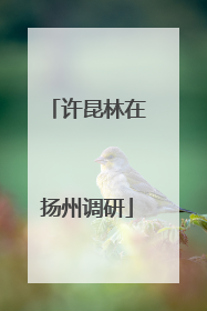 许昆林在扬州调研