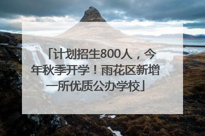 计划招生800人，今年秋季开学！雨花区新增一所优质公办学校