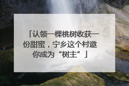 认领一棵桃树收获一份甜蜜，宁乡这个村邀你成为“树主”