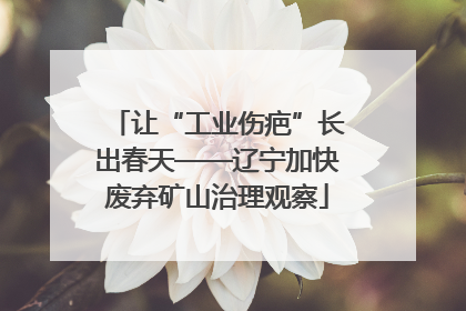 让“工业伤疤”长出春天——辽宁加快废弃矿山治理观察