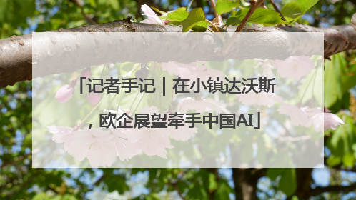 记者手记｜在小镇达沃斯，欧企展望牵手中国AI