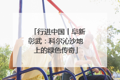 行进中国丨阜新彰武：科尔沁沙地上的绿色传奇