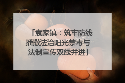 袁家镇：筑牢防线播撒法治阳光禁毒与法制宣传双线并进