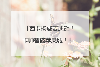 西卡扬威麦迪逊！卡帅智破苹果城！