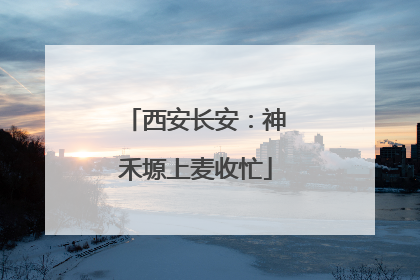 西安长安：神禾塬上麦收忙