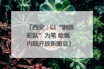 西安：以“钢铁驼队”为笔 绘就内陆开放新图景