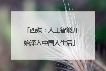 西媒：人工智能开始深入中国人生活