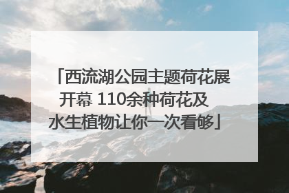 西流湖公园主题荷花展开幕 110余种荷花及水生植物让你一次看够