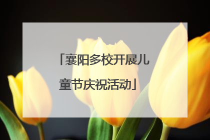 襄阳多校开展儿童节庆祝活动