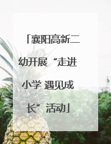 襄阳高新二幼开展“走进小学 遇见成长”活动