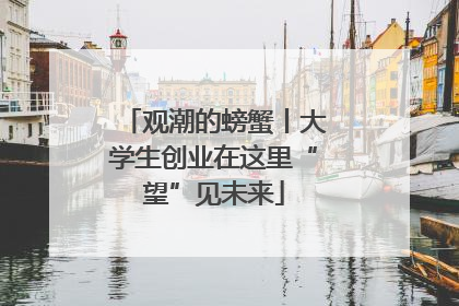 观潮的螃蟹丨大学生创业在这里“望”见未来