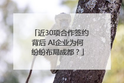 近30项合作签约背后 AI企业为何纷纷布局成都？