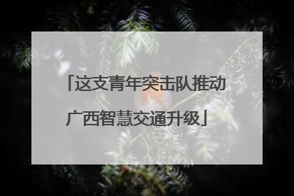 这支青年突击队推动广西智慧交通升级