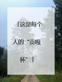这是每个人的“贡嘎杯”