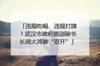 违规吃喝、违规打牌！武汉市政府原副秘书长周大鸿被“双开”