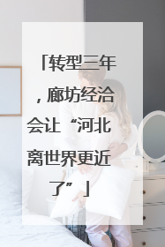 转型三年，廊坊经洽会让“河北离世界更近了”