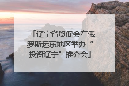 辽宁省贸促会在俄罗斯远东地区举办“投资辽宁”推介会