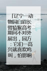辽宁一动物园白眉长臂猿猴高考期间不对外展出，园方：它们一高兴就喜欢鸣叫，怕影响考试