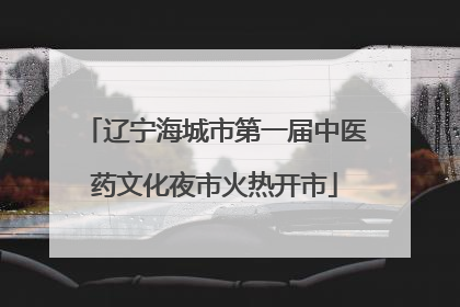 辽宁海城市第一届中医药文化夜市火热开市