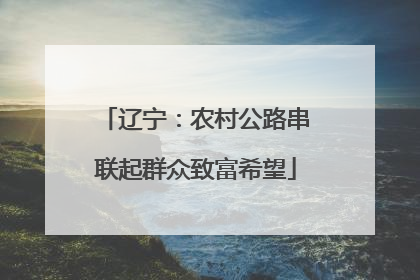 辽宁：农村公路串联起群众致富希望