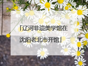 辽河非遗美学馆在沈阳老北市开馆