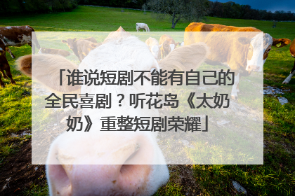 谁说短剧不能有自己的全民喜剧？听花岛《太奶奶》重整短剧荣耀