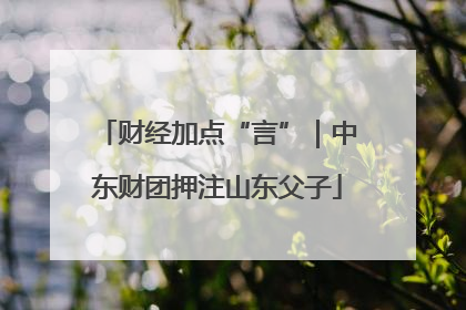 财经加点“言”｜中东财团押注山东父子