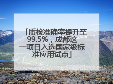 质检准确率提升至99.5%，成都这一项目入选国家级标准应用试点