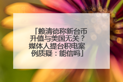 赖清德称新台币升值与美国无关？媒体人提台积电案例质疑：能信吗