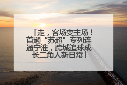 走，客场变主场！首趟“苏超”专列连通宁淮，跨城追球成长三角人新日常