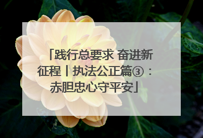 践行总要求 奋进新征程丨执法公正篇③：赤胆忠心守平安