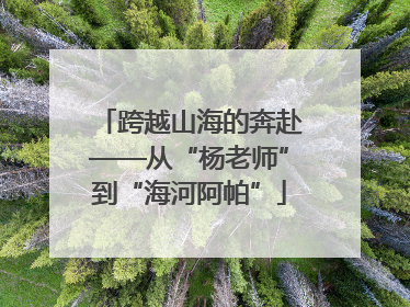 跨越山海的奔赴——从“杨老师”到“海河阿帕”