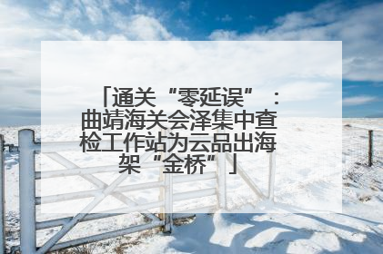 通关“零延误”：曲靖海关会泽集中查检工作站为云品出海架“金桥”