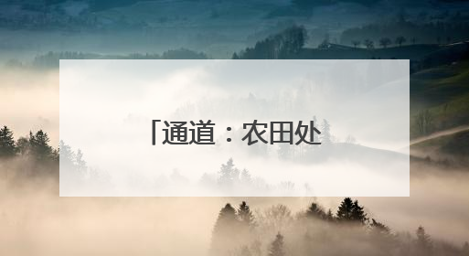通道：农田处处染新绿 制种水稻移栽忙