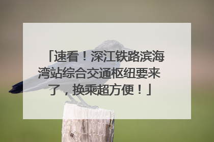 速看！深江铁路滨海湾站综合交通枢纽要来了，换乘超方便！