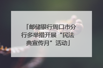 邮储银行周口市分行多举措开展“民法典宣传月”活动