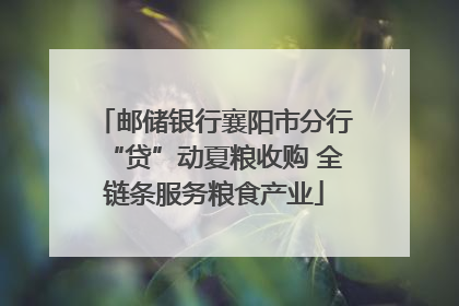 邮储银行襄阳市分行“贷”动夏粮收购 全链条服务粮食产业