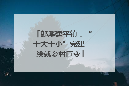 郎溪建平镇：“十大十小”党建 绘就乡村巨变